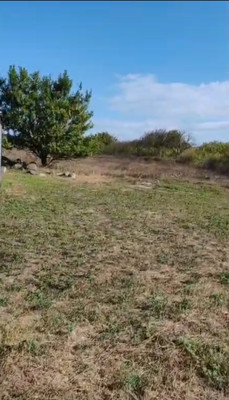 Объект по адресу Краснодарский край, Анапский р-н, Красная Горка х, Красная ул