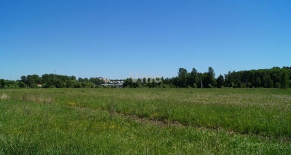 Объект по адресу Москва, Спортинг клуб Москва тер 