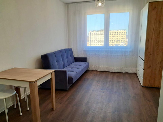 Объект по адресу Санкт-Петербург, Муринская дор, 29 