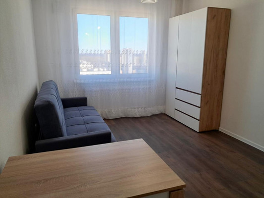 Объект по адресу Санкт-Петербург, Муринская дор, 29 