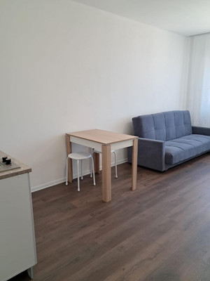 Объект по адресу Санкт-Петербург, Муринская дор, 29 