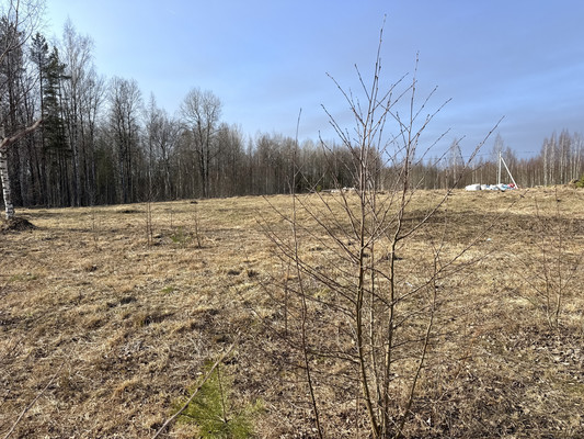 Объект по адресу Москва, Сойкино д 