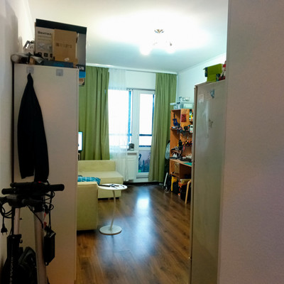 Объект по адресу Санкт-Петербург г, Плесецкая ул, д. 20к1