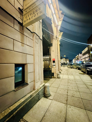 Объект по адресу Санкт-Петербург г, Итальянская ул, д. 12литерае