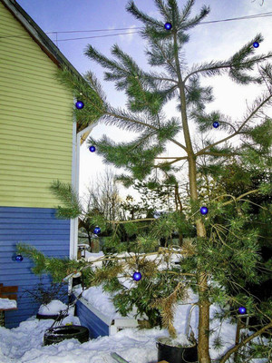 Объект по адресу Москва, 1-я (Оптимист тер. СНТ) линия, 38 