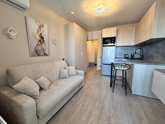 Фото квартиры по адресу Санкт-Петербург, Реки Каменки наб, 23 