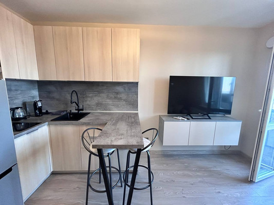 Фото квартиры по адресу Санкт-Петербург, Реки Каменки наб, 23 