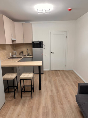 Объект по адресу Санкт-Петербург, Пахомовская ул, 10к4 