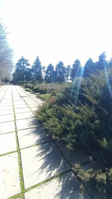 Объект по адресу Москва, Центральная ул, 41б/1 