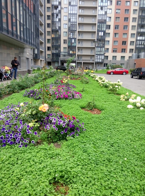 Объект по адресу Санкт-Петербург, Адмирала Трибуца ул, 8А 