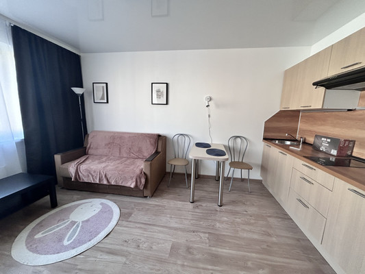 Объект по адресу Санкт-Петербург г, Королёва пр-кт, д. 64к1