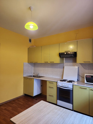 Объект по адресу Санкт-Петербург г, Авиаконструкторов пр-кт, д. 20к1