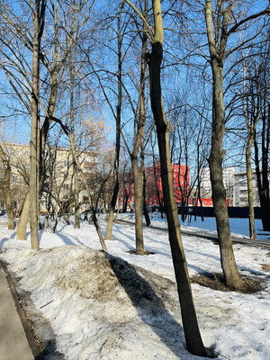 Объект по адресу Москва, Большая Черёмушкинская ул, 10к1 