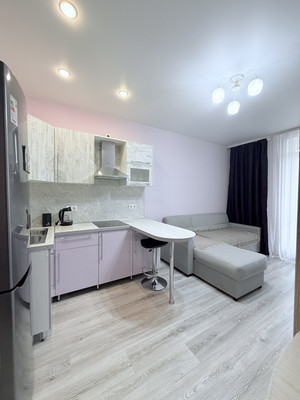 Объект по адресу Санкт-Петербург г, Оптиков ул, д. 37