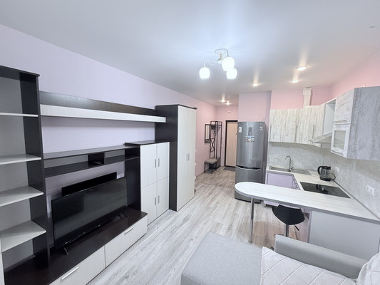 Объект по адресу Санкт-Петербург г, Оптиков ул, д. 37