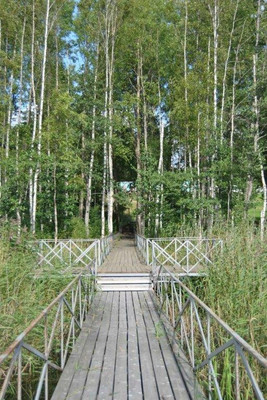 Объект по адресу Ленинградская обл, Выборгский р-н, Волочаевка п, Овражная ул