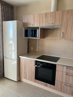 Объект по адресу Санкт-Петербург г, Богатырский пр-кт, д. 49А