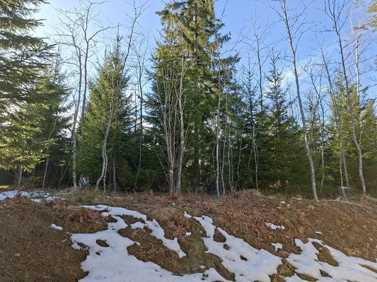 Объект по адресу Ленинградская обл, Всеволожский р-н, Сарженка д, Агалатовское ш