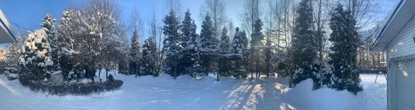 Объект по адресу Московская обл, Имени К. И. Вороницына ул, д. 1