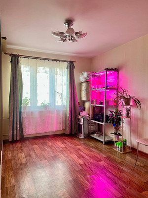 Фото квартиры по адресу Санкт-Петербург, Дунайский пр-кт, 14Ак1 