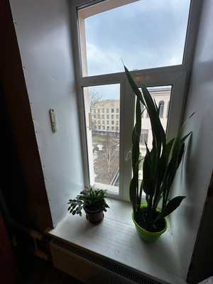 Фото квартиры по адресу Санкт-Петербург г, Большой Казачий пер, д. 9