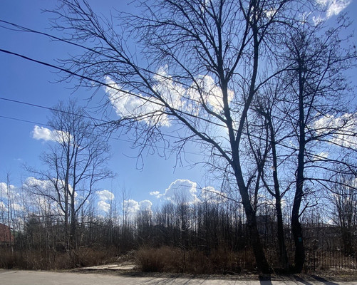 Объект по адресу Санкт-Петербург, Чайковского ул 