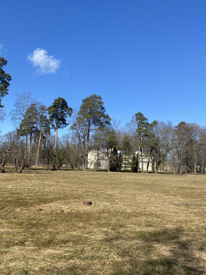 Объект по адресу Санкт-Петербург, Чайковского ул 