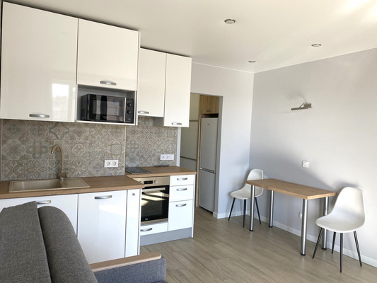 Объект по адресу Санкт-Петербург г, Будапештская ул, д. 102