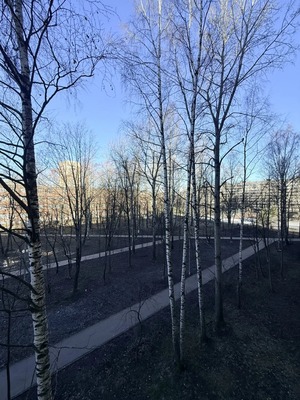 Объект по адресу Санкт-Петербург, Гражданский пр-кт, 122Ак4 