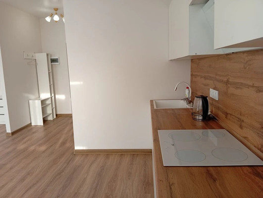 Объект по адресу Москва, Полковника Романова ул, 11 