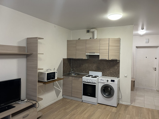 Фото квартиры по адресу Санкт-Петербург г, Дальневосточный пр-кт, д. 33к1