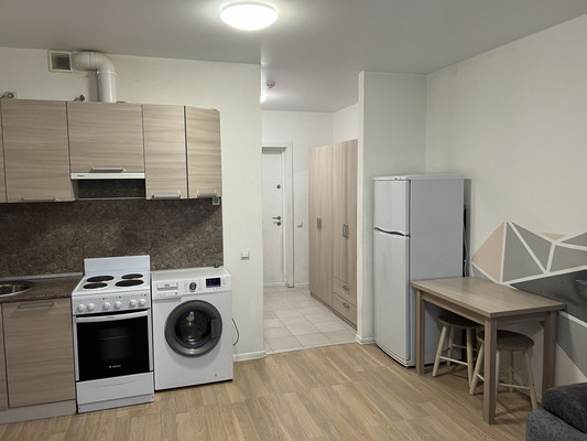 Фото квартиры по адресу Санкт-Петербург г, Дальневосточный пр-кт, д. 33к1