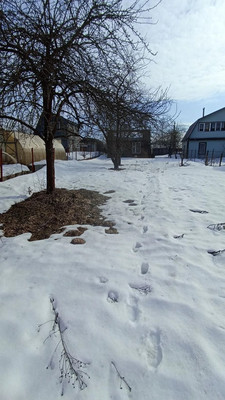 Объект по адресу Москва, Рязаново д 