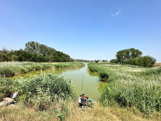 Объект по адресу Москва, Незамаевская ст-ца 