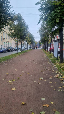 Фото квартиры по адресу Санкт-Петербург, 16-я В.О. линия, 45 