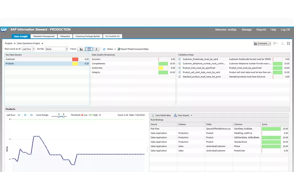 SAP Information Steward программа