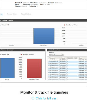 webMethods ActiveTransfer