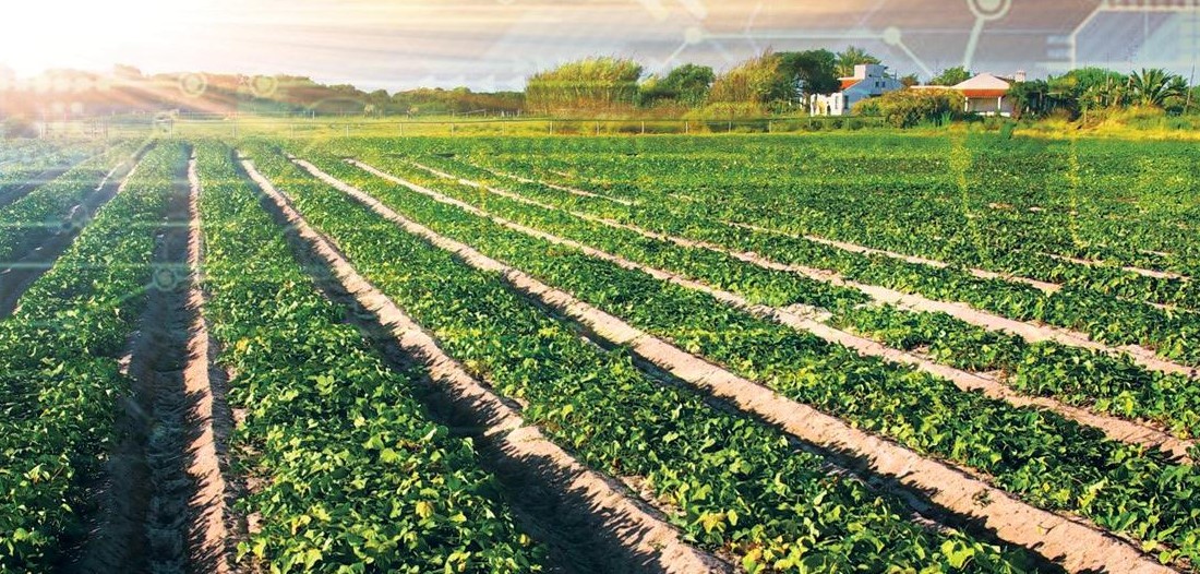 Борлас АгроСистема