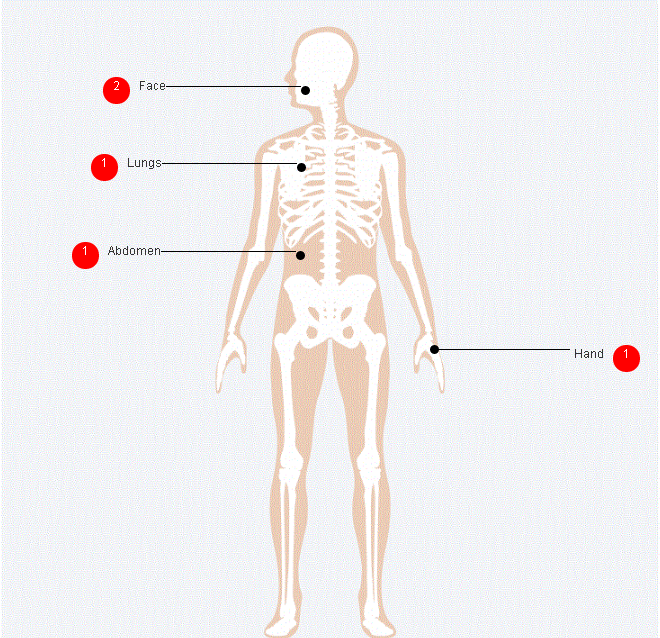 Momentum QMS подбор