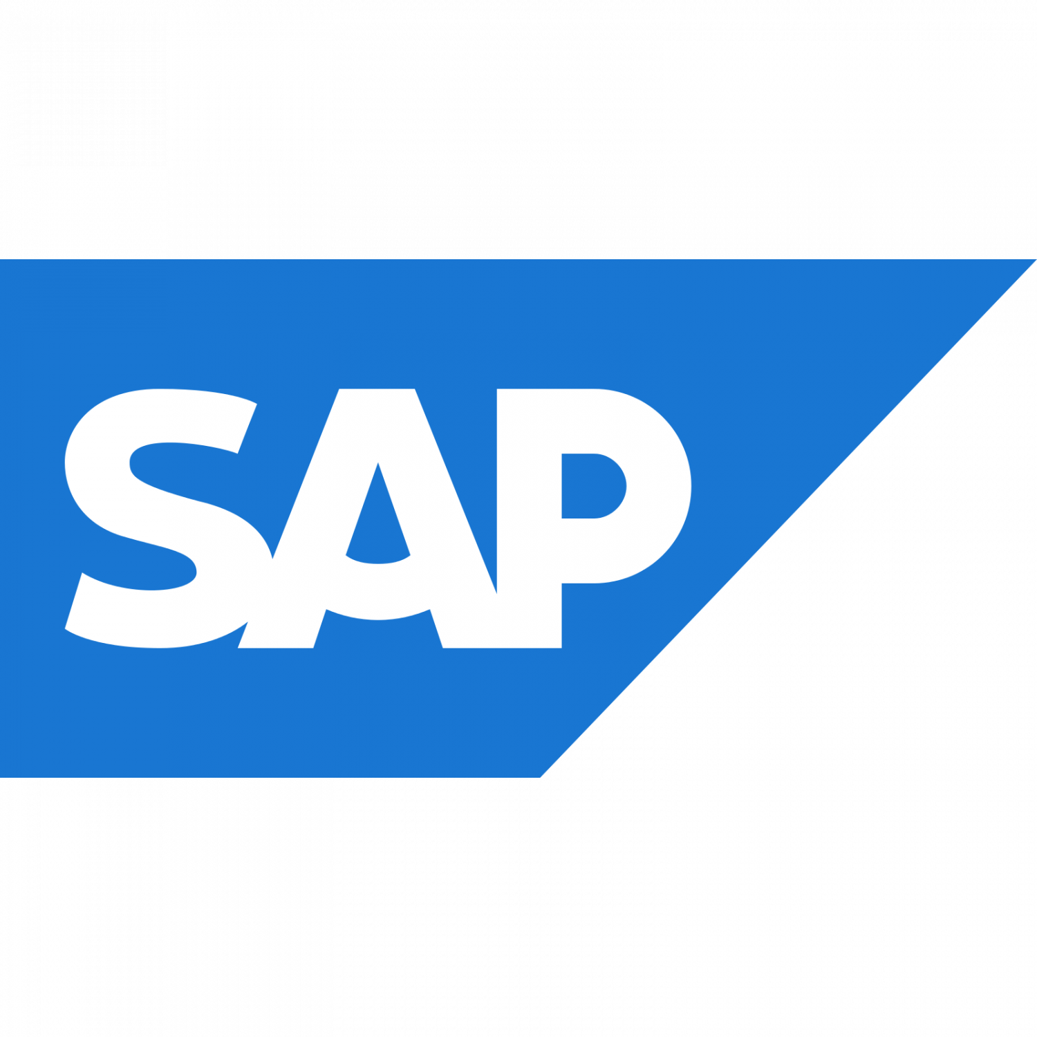 SAP СНГ