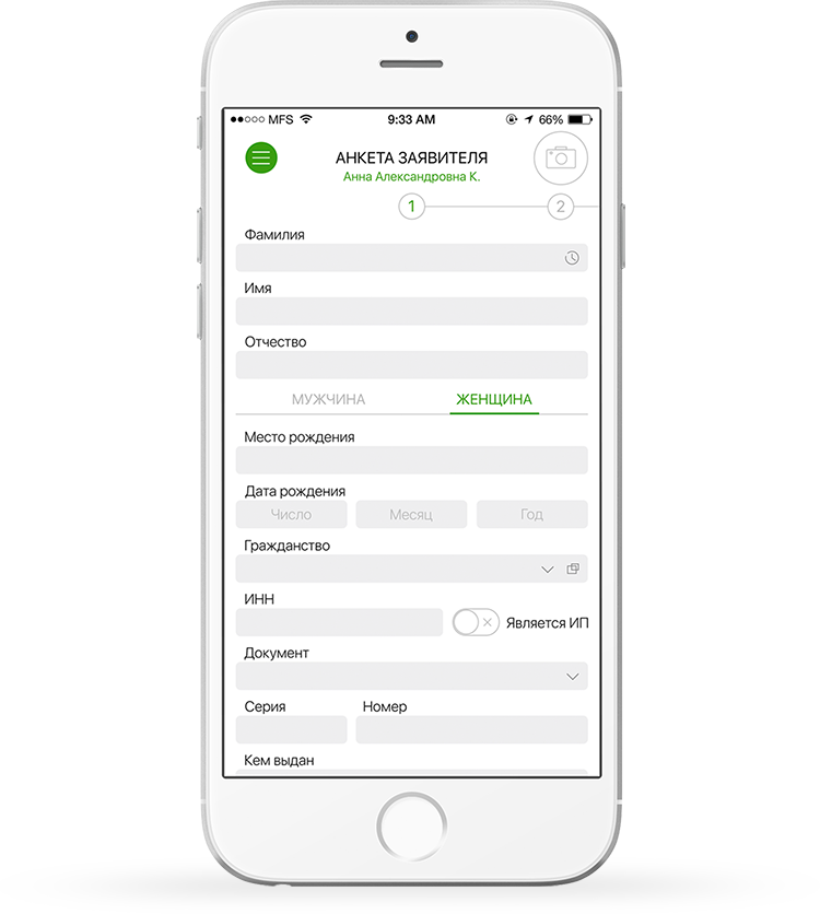 Микрофинансовая система программа