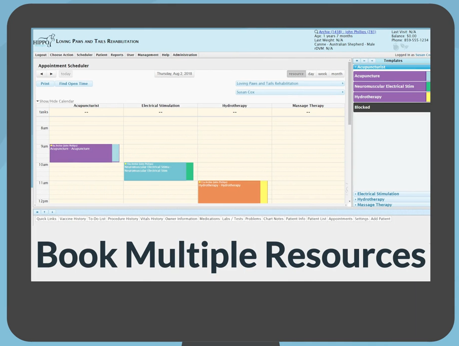 Hippo Manager сравнение