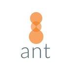 Ant