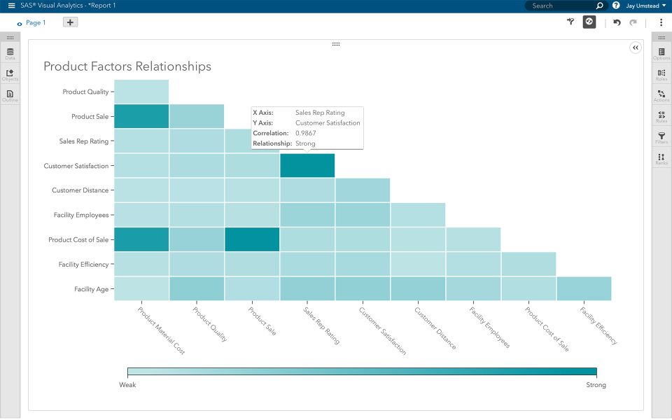 SAS Visual Analytics