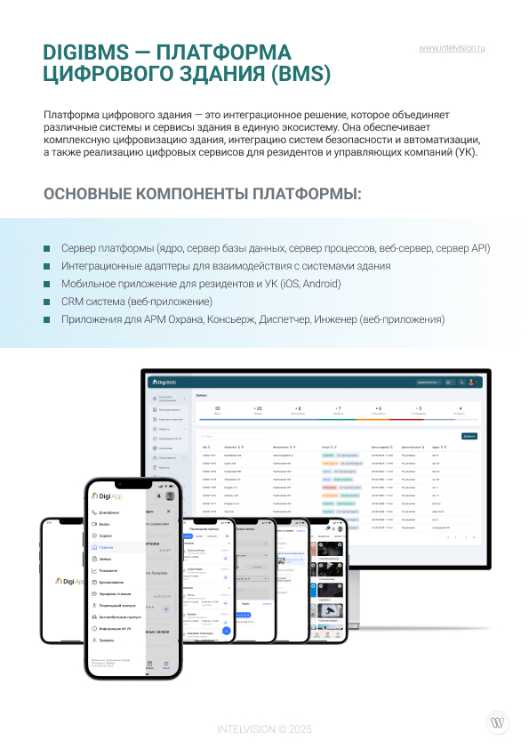 DigiBMS программа