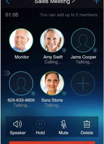 Grandstream Wave программа