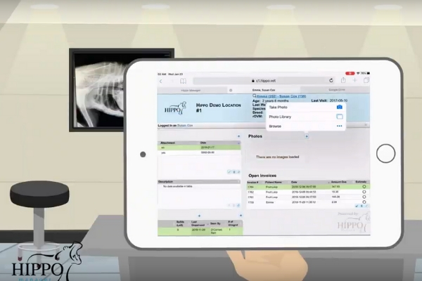 Hippo Manager подбор