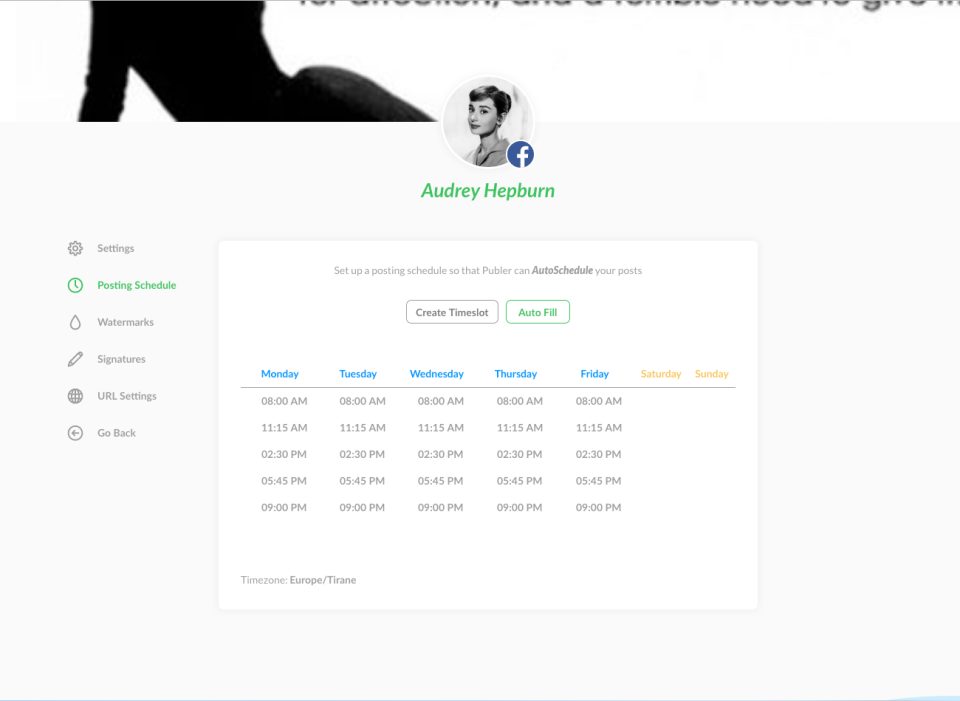 Publer характеристики