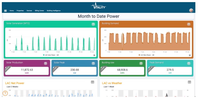 Vitality характеристики