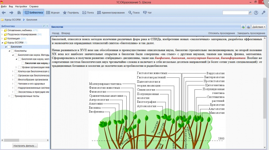 1C:Образование характеристики